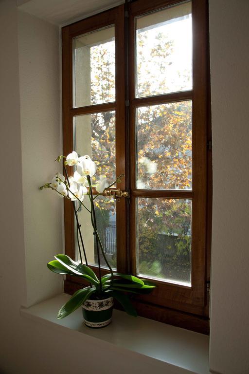 Charming Geneva Apartment Exterior foto